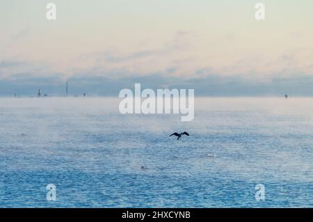 Minimaler Blick auf das Meer von der Küste Helsinkis. Das Wetter ist so kalt, dass das Wasser gefriert und einen leichten Nebel auf seine Oberfläche versprüht Stockfoto