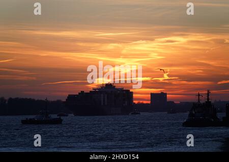 Hamburg, Deutschland. 11. März 2022. Ein großes Containerschiff fährt bei Sonnenuntergang in den Hamburger Hafen an der Elbe. Kredit: Marcus Brandt/dpa/Alamy Live Nachrichten Stockfoto