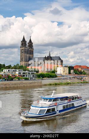 Magdeburger Dom und Ausflugsboot auf der Elbe, Magdeburg, Sachsen-Anhalt, Deutschland Stockfoto