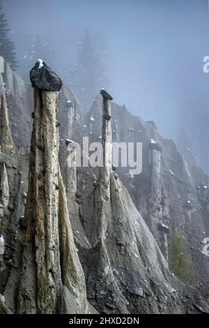 Percha, Provinz Bozen, Südtirol. Italien. Der erste Herbstschnee an den Erdpyramiden von Platten oberhalb von Percha im Pustertal Stockfoto