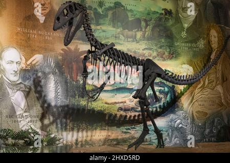 England, Isle of Wight, Sandown, Dinosaur Isle Museum, Ausstellung des Dinosaurier-Skeletts vor der malerischen Montage berühmter historischer Geologen und Paläontologen Stockfoto