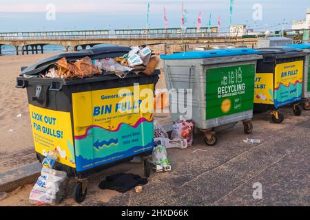 England, Dorset, Bournemouth, Bournemouth Seafront, Möwen, die sich aus überfließenden Abfalleimer ernähren Stockfoto