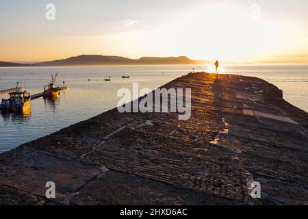 England, Dorset, Lyme Regis, The Cobb bei Sonnenaufgang Stockfoto