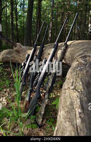 Vier Jagdgewehre mit Scope-Optik, die gegen einen gefallenen Baum schiefen Stockfoto