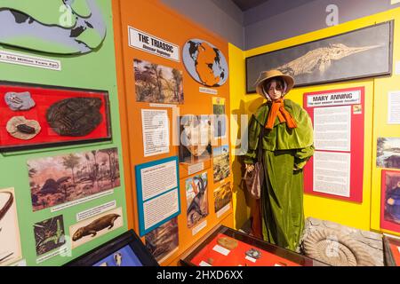 England, Dorset, Dorchester, das Dinosaur Museum, Statue of Mary Anning the Famous Female Fossilist Stockfoto