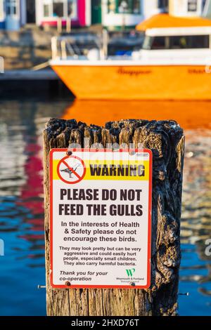 England, Dorset, Weymouth, Weymouth Harbour, Warnschild, um die Möwen nicht zu füttern Stockfoto