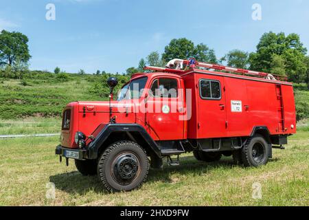 Lützelbach, Hessen, Deutschland, Magirus Deutz F Mercur 125 A, Panzerfeuerwerk, Baujahr ca. 1963, Hubraum 7412 ccm, Stockfoto