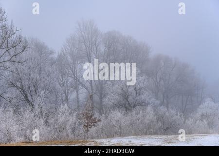 Deutschland, Bayern, Oberbayern, Pfaffenwinkel, Penzberg, Bezirk Schönmühl, Moor Loisach-Kochelsee, Loisachtal bei Schönmühl Stockfoto