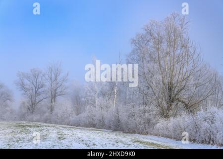 Deutschland, Bayern, Oberbayern, Pfaffenwinkel, Penzberg, Bezirk Schönmühl, Moor Loisach-Kochelsee, Loisachtal bei Schönmühl Stockfoto