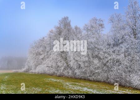 Deutschland, Bayern, Oberbayern, Pfaffenwinkel, Penzberg, Bezirk Schönmühl, Moor Loisach-Kochelsee, Loisachtal bei Schönmühl Stockfoto