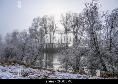 Deutschland, Bayern, Oberbayern, Pfaffenwinkel, Penzberg, Bezirk Schönmühl, Moor Loisach-Kochelsee, Loisachtal bei Schönmühl Stockfoto