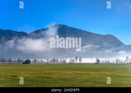 Deutschland, Bayern, Oberbayern, Tölzer Land, Schlehdorf am Kochelsee, Blick über das Loisach-Kochelsee Moor in Richtung Jochberg Stockfoto