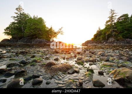 Sonnenuntergang am Mackenzie Beach, Tofino, Vancouver Island, British Columbia, Kanada Stockfoto