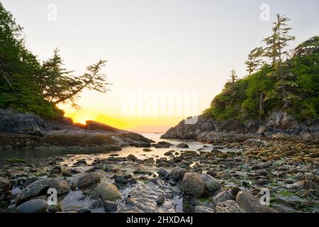 Sonnenuntergang am Mackenzie Beach, Tofino, Vancouver Island, British Columbia, Kanada Stockfoto