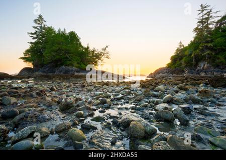 Sonnenuntergang am Mackenzie Beach, Tofino, Vancouver Island, British Columbia, Kanada Stockfoto