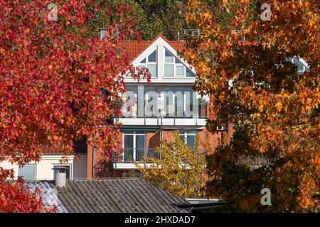 Modernes Wohngebäude im Herbst, Neustadt, Bremen, Deutschland, Europa Stockfoto