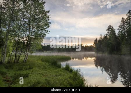 Europa, Schweiz, Kanton Jura, Sainlegier, Sonnenaufgang in Etang de la Gruère Stockfoto