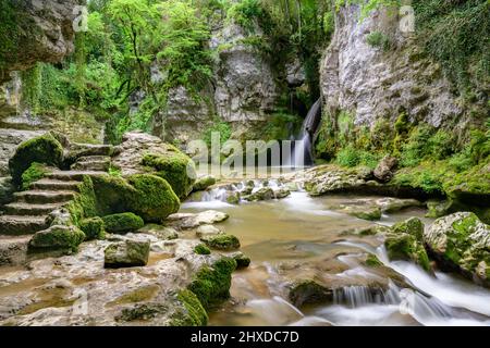 Europa, Schweiz, Kanton Waadt, Morges, Tine de Conflens Stockfoto