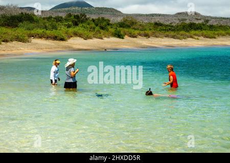 Touristen spielen mit einem Seelöwen in der Post Office Bay, Isla Floreana, Galapagos Islands, Ecuador. Stockfoto