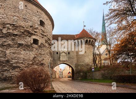 Great Coastal Gate, Fat Margaret's Tower und Pikk Street im alten Tallinn, Estland Stockfoto