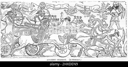 Gravur eines alten assyrischen Streitwagens Stockfoto