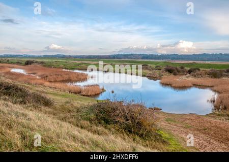 Snettisham Coastal Park und Heacham Harbour hinter dem Ostufer der Washington. Stockfoto