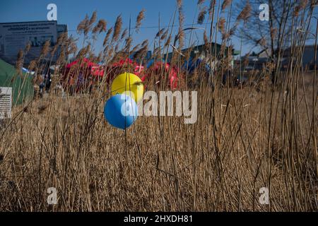 Medyka, Polen. 11. März 2022. Zwei Luftballons in den Farben der ukrainischen Flagge, die auf dem Feld am Grenzübergang in Medyka zu sehen sind. Ukrainische Flüchtlinge am Grenzübergang Medyka am 16.. Tag der russischen Invasion in der Ukraine. Kredit: SOPA Images Limited/Alamy Live Nachrichten Stockfoto