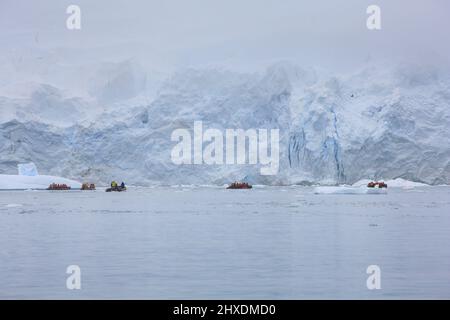 Sechs Zodiac-Boote (einschließlich Fotografen) vom Le Boreal-Kreuzschiff erkunden die Skontorp Cove in der Nähe der Brown Station auf der Antarktischen Halbinsel. Stockfoto