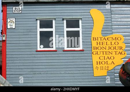 Die Forschungsbasis Vernadsky ist eine ukrainische Antarktisstation auf der Galindez-Insel auf den argentinischen Inseln der Antarktischen Halbinsel. Stockfoto