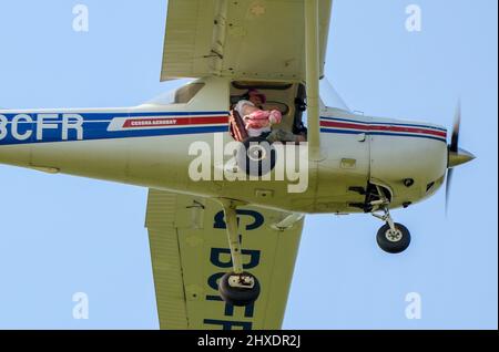 Humorvolle Luft Ereignis plushy Teddy Spielzeug Fallschirm Landung Genauigkeit Wettbewerb. Spielzeug mit Fallschirm, der aus einem Cessna-Flugzeug fällt, um in der Nähe eines Ziels zu landen Stockfoto