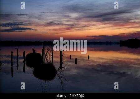 Pfähle im Wasser am Ufer eines Sees bei Sonnenuntergang Stockfoto