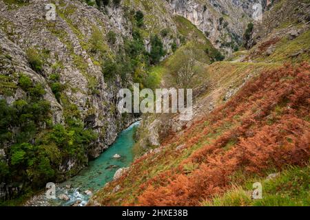 Ruta del Cares Trail Naturlandschaft im Nationalpark Picos de Europa, Spanien Stockfoto