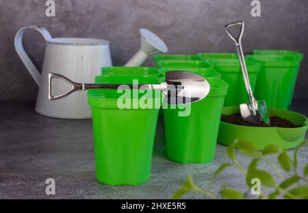 Töpfe für Sämlinge und Samen auf dunklem Hintergrund. Selektiver Fokus.Löffel in Form einer Schaufel. Stockfoto