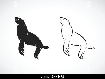 Vektor von Seelöwen Design auf weißem Hintergrund. Echte Robbe oder Ohrlose Robbe., Wilde Tiere. Leicht editierbare Vektorgrafik mit Ebenen. Stock Vektor