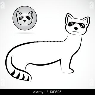 Vektorbild eines Waschbären auf weißem Hintergrund Stock Vektor