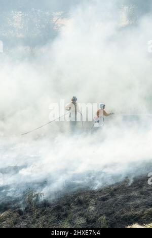 Feuerwehrmänner kämpfen in der Nähe von Fort Collins Colorado gegen ein Brushfeuer Stockfoto