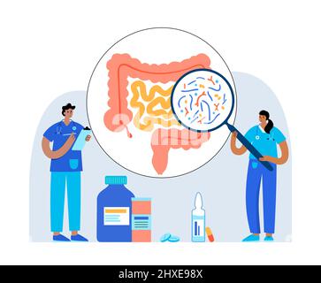 Verbindung zwischen Darm und Gehirn, Illustration Stockfoto