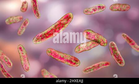 Sphingomonas-Bakterien, Illustration Stockfoto
