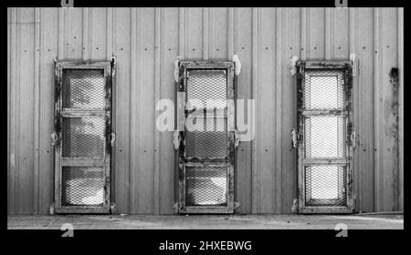 Altes Mono mit Windows-Rand Stockfoto