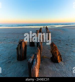 Überreste eines vom US-amerikanischen „The Maid“-Schiff am Folly Beach, Folly Island, South Carolina, USA Stockfoto