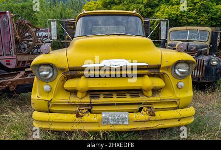 Die Vorderseite eines gelben 1956 Chevy 8500 LKW in einem Schrottplatz in Idaho Stockfoto