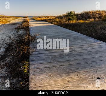 Promenade und die Sanddünen von Station 18 Beach, Sullivan's Island, South Carolina, USA Stockfoto