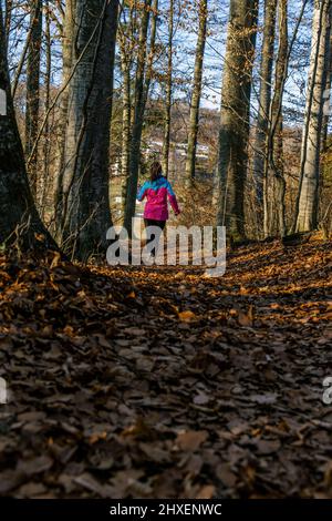 Ein Mädchen in einer leuchtend rosa Jacke läuft im späten Winter durch einen Buchenwald. Auf dem Boden ist ein Teppich aus trockenen Blättern. Hochwertige Fotos Stockfoto