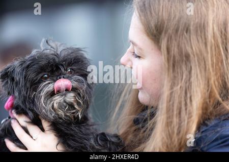 Birmingham, Großbritannien. 12. März 2022. Hunde kommen für den dritten Tag bei Crufts 2022 an. Kredit: Peter Lopeman/Alamy Live Nachrichten Stockfoto