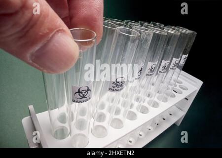 Makroansicht des handentnehmenden Reagenzschlauchs vom Stativ in der sterilen Umgebung im Labor. Labor, Test, Apparate Stockfoto