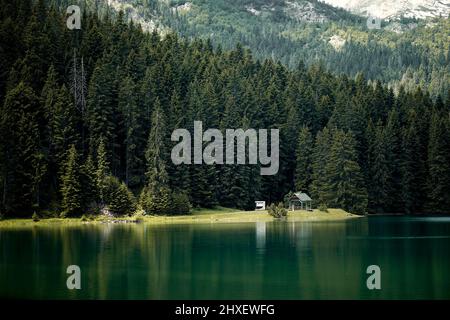 Wunderschöne Naturkulisse. Spiegelung im Wasser des Waldes von hoch aufragenden Kiefern. Berghütte im Sommer. Natur, Wald Konzept Stockfoto