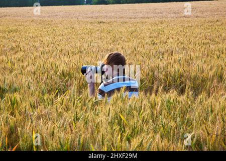 Junge Fotografieren mit Stativ der Blätter im Maisfeld Stockfoto