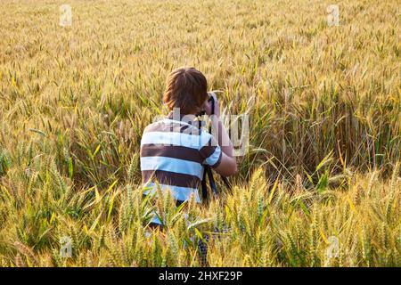 Junge Fotografieren mit Stativ der Blätter im Maisfeld Stockfoto