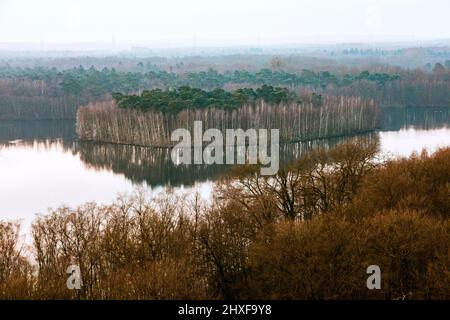 Sechs-Seen-Plateau in Duisburg-Wedau, Insel am Haubachsee Stockfoto
