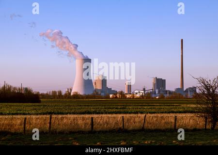 STEAG Blockheizkraftwerk Walsum, Kohlekraftwerk am Rhein Stockfoto